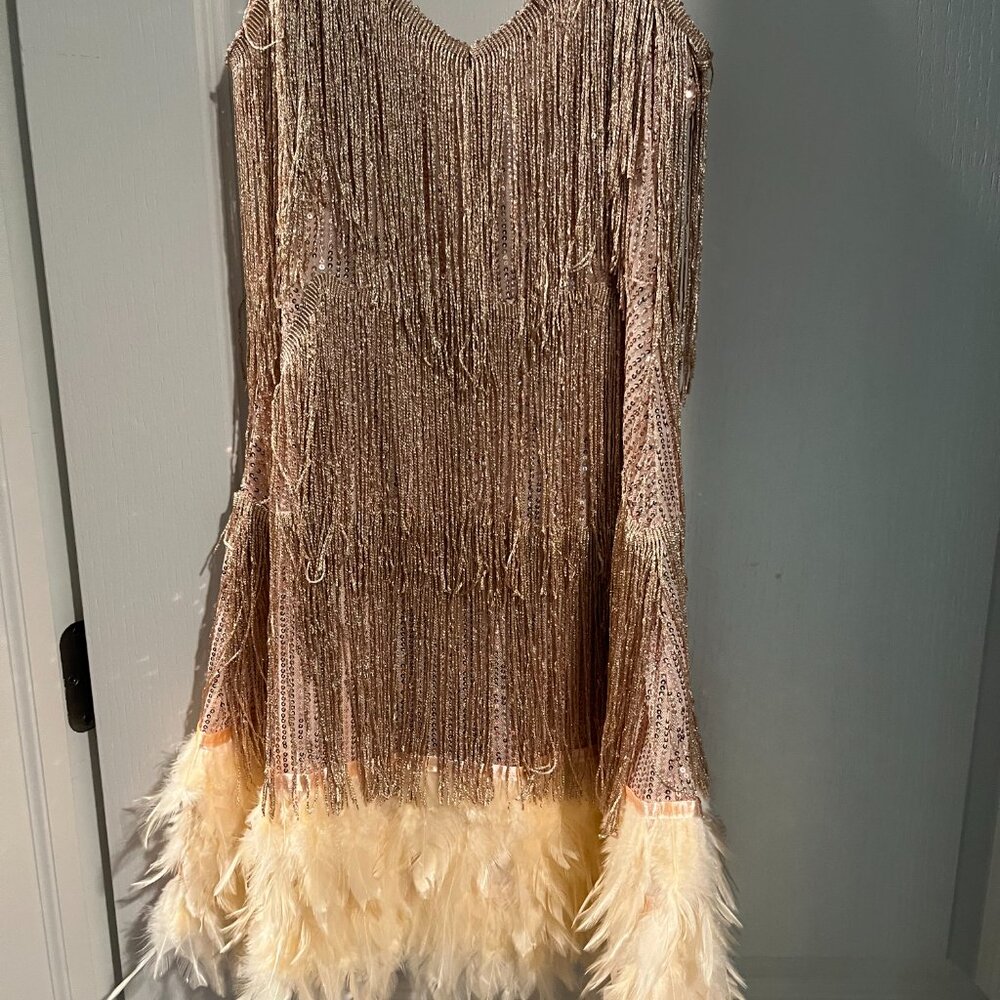 beautiful pink dress with real feathers.  never worn